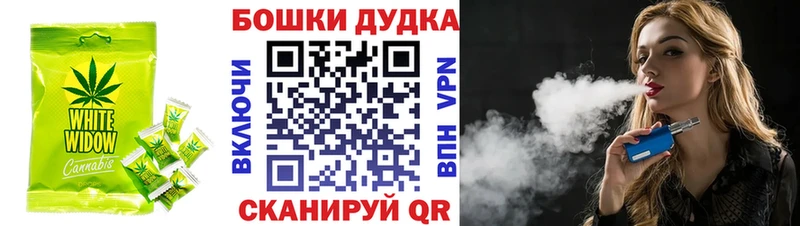 Canna-Cookies марихуана  Купить закладки  Вяземский 