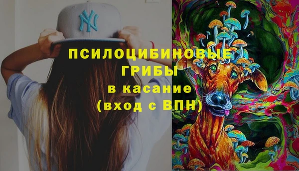 spice Богданович