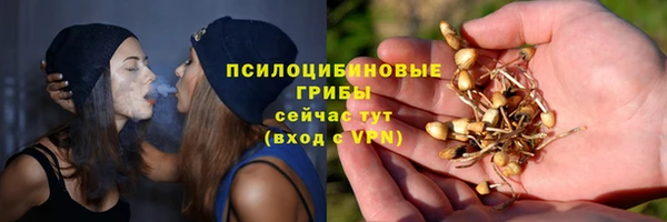 mdpv Богородск