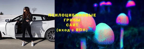 mdpv Богородск