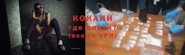 spice Богданович