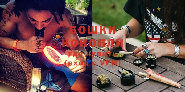 spice Богданович