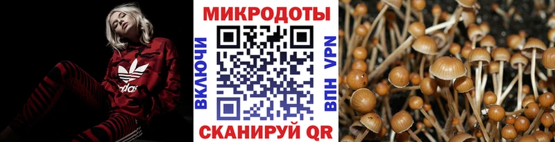 Галлюциногенные грибы мухоморы Купить где Вяземский